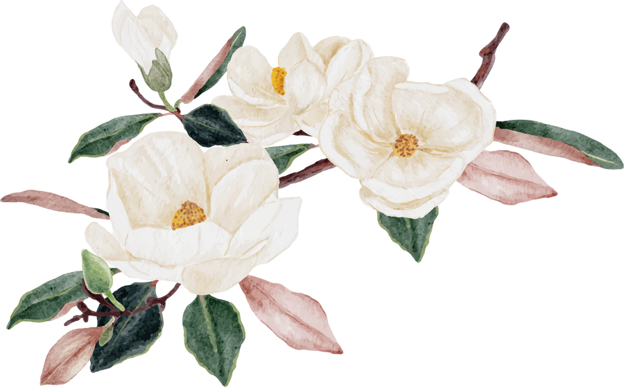 Watercolor White Magnolia Flower Bouquet Cutout